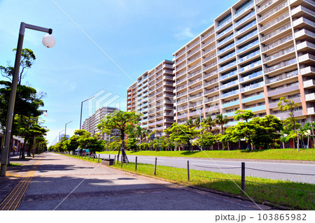浦安市日の出、明海周辺(千葉県浦安市)【2023.6】 浦安市日の出、明海周辺(千葉県浦安市)【2023.6】 103865982