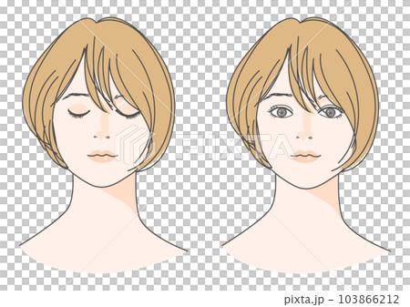 目を閉じた女性と目を開けた女性の顔 正面アップのイラストセット 茶髪 ボブ 斜めバングス 目を閉じた女性と目を開けた女性の顔 正面アップのイラストセット 茶髪 ボブ 斜めバングス 103866212
