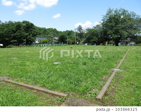 国分寺市の武蔵国分寺跡（僧寺跡）にある講堂跡 103866325