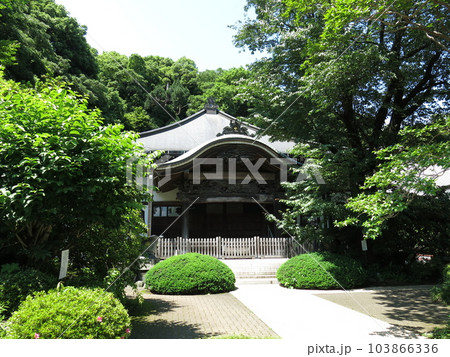 国分寺市の武蔵国分寺（本堂） 103866336