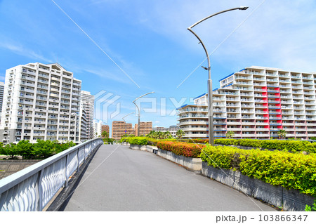 明海橋/境川より海園の街方向を望む(千葉県浦安市)【2023.6】 明海橋/境川より海園の街方向を望む(千葉県浦安市)【2023.6】 103866347