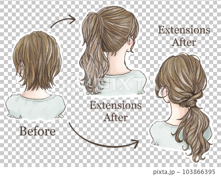 Ponytail illustration when tied with seal extensions (Before/After) 103866395