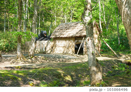 北海道苫前町 ヒグマの事件跡地 北海道苫前町 ヒグマの事件跡地 103866496