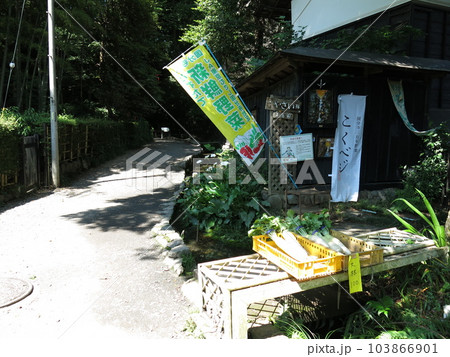 国分寺市の真姿の池湧水群前にある農産物直売所 国分寺市の真姿の池湧水群前にある農産物直売所 103866901