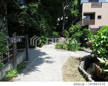 国分寺市のお鷹の道(真姿の池湧水群への分岐点) 国分寺市のお鷹の道(真姿の池湧水群への分岐点) 103867210