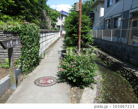 国分寺市のお鷹の道 103867213