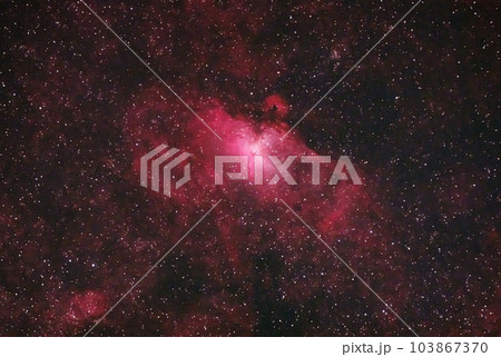 わし星雲 103867370