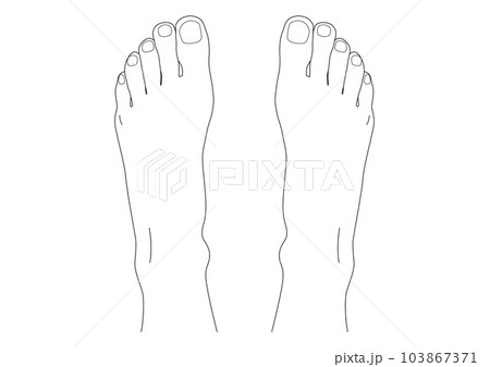 人体 パーツ 足の甲 足 指  線画  爪 肌 両足 足の甲 透過 png 背景透明 103867371