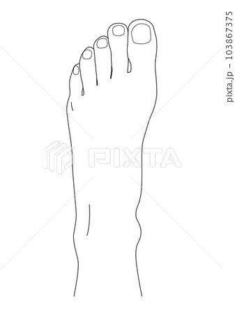 人体 パーツ 足の甲 足 線画 肌 爪 片足 透過 png 背景透明 103867375