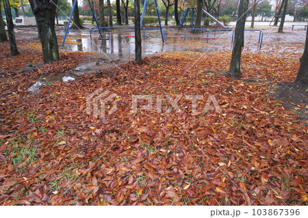 欅の枯れ葉散る誰もいない冬の雨の公園風景 欅の枯れ葉散る誰もいない冬の雨の公園風景 103867396