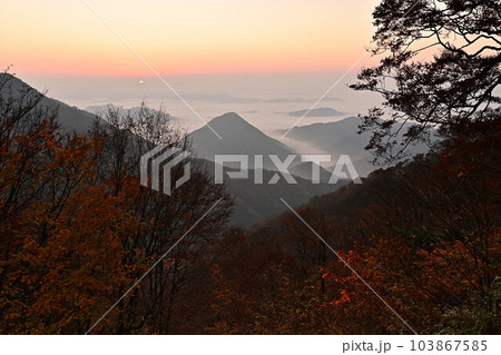 大江山の雲海 大江山の雲海 103867585