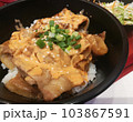 Japanese Rice Sliced Pork and Spring onion. 103867591