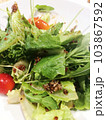 Organic Salad on White Plate Close Up View. 103867592
