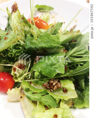 Organic Salad on White Plate Close Up View. Organic Salad on White Plate Close Up View. 103867592