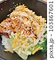 Cheese Chicken With Japanese Rice and Sesame Sauce Close Up. 103867601