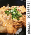 Japanese Rice Sliced Pork and Spring onion. Close Up 103867614