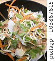 Close Up Shot Organic Cabbage Salad, Health Concept. 103867615