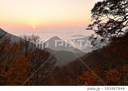 大江山の雲海 大江山の雲海 103867644