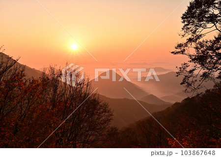 大江山の雲海 大江山の雲海 103867648