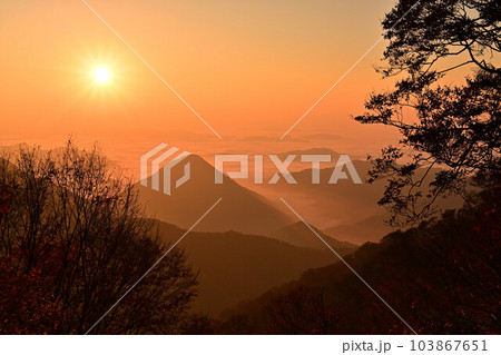 大江山の雲海 103867651