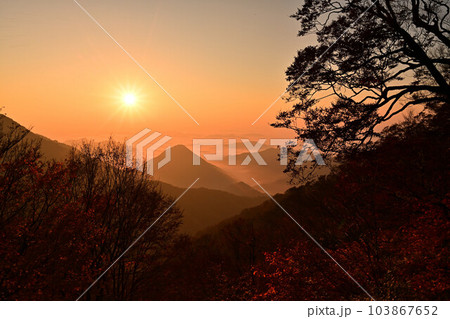 大江山の雲海 大江山の雲海 103867652