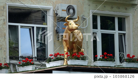 Kiev, Ukraine June 10, 2021: Facade of a building decorated with a sculpture of a golden cow in the center of Kiev Kiev, Ukraine June 10, 2021: Facade of a building decorated with a sculpture of a golden cow in the center of Kiev 103868126