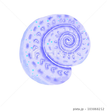 shell shellfish clam shell shellfish clam 103868212