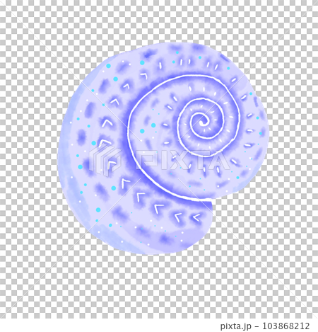 shell shellfish clam shell shellfish clam 103868212