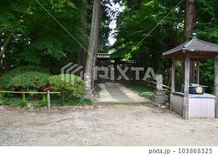 弘経寺（ぐぎょうじ）の彼岸花　＃23 103868325