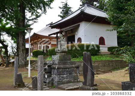 弘経寺(ぐぎょうじ)の彼岸花 #30 弘経寺(ぐぎょうじ)の彼岸花 #30 103868332