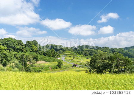 明日香稲淵の棚田 明日香稲淵の棚田 103868418
