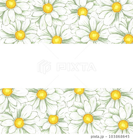 Hand drawn watercolor chamomile frame isolated on white background. Can be used for print, postcard, poster, book decoration and other printed products. 103868645