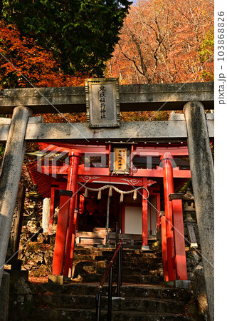 大江山より 大江山より 103868826