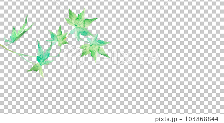 美麗的綠楓夏季圖像框架水彩插圖 103868844