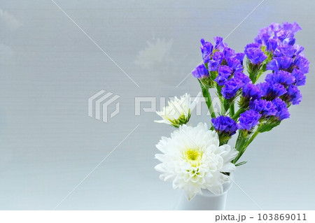 白背景に飾られた白い菊と紫のスターチスの花 103869011