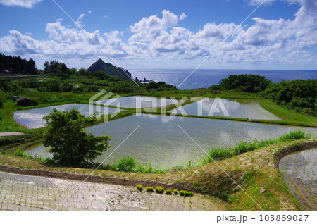 新潟県佐渡の田植え時期の田園風景 新潟県佐渡の田植え時期の田園風景 103869027