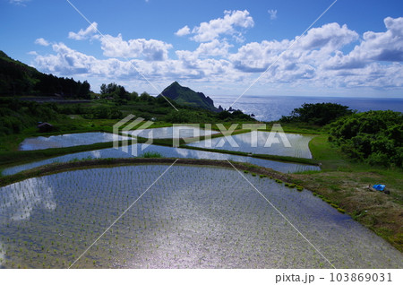 新潟県佐渡の田植え時期の田園風景 103869031
