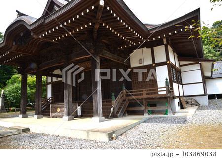 弘経寺(ぐぎょうじ)の彼岸花 #33 弘経寺(ぐぎょうじ)の彼岸花 #33 103869038