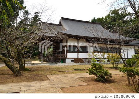 弘経寺（ぐぎょうじ）の彼岸花　＃34 103869040