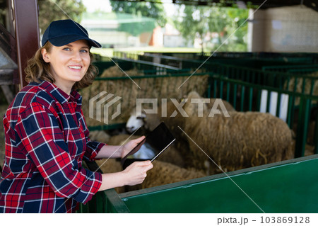 Woman farmer with tablet in a sheepfold. 103869128