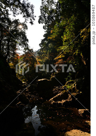 天岩戸神社より 103869487