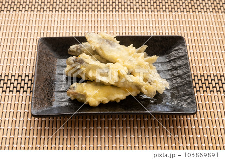 稚鮎の天ぷら 103869891