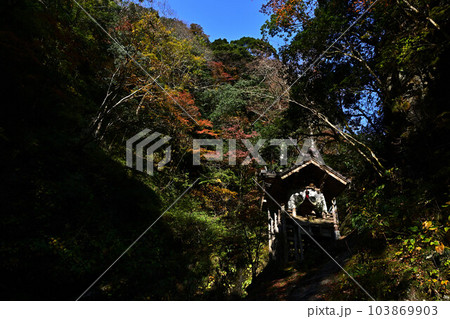 秋の天岩戸神社 秋の天岩戸神社 103869903