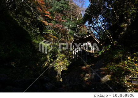 秋の天岩戸神社 秋の天岩戸神社 103869906