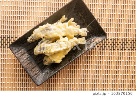 稚鮎の天ぷら 103870156