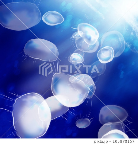 揺らめくクラゲ 103870157