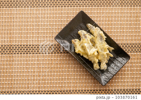 稚鮎の天ぷら 103870161