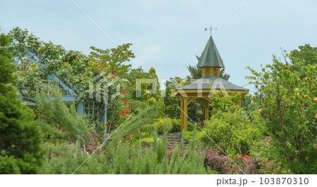 高岡おとぎの森公園のバラ園。日本、富山県高岡市 103870310