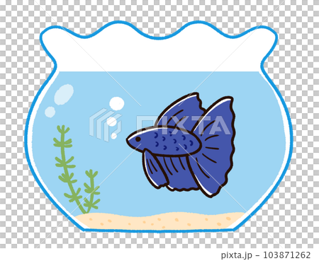 金魚鉢のベタ 金魚鉢のベタ 103871262