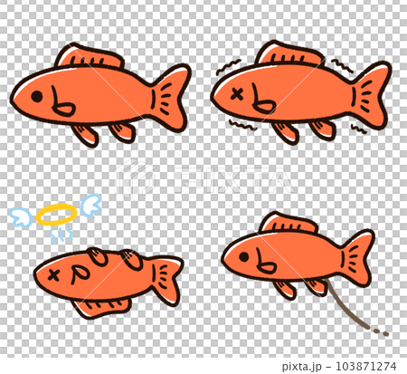 Cute Goldfish Set Wakane 103871274